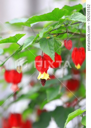 Cute Tyrolean Lamp Flower 90208582