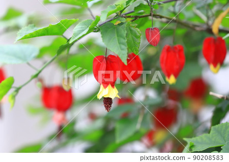 Cute Tyrolean Lamp Flower 90208583