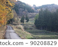 新潟縣十日町 90208829