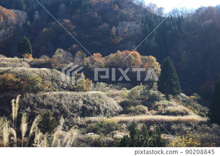 農村十日町舊中里村新潟縣 90208845