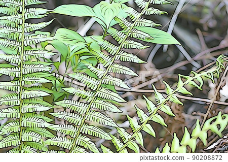 Pastel-like "Ostrich Fern" illustration image 90208872