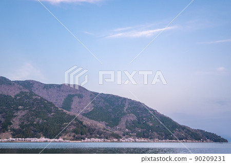 <<滋賀縣高島市>>大崎海津的櫻花 <<滋賀縣高島市>>大崎海津的櫻花 90209231