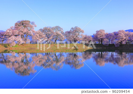 Cherry blossoms at the bank of six roads in Ina City, Nagano Prefecture 90209454