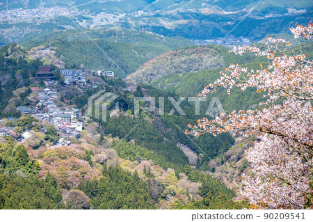 [奈良吉野郡] 吉野山上的櫻花 90209541