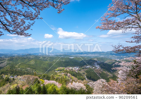 [奈良吉野郡] 吉野山上的櫻花 90209561