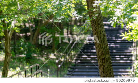 Summer is waiting at the end of that staircase Summer is waiting at the end of that staircase 90209979