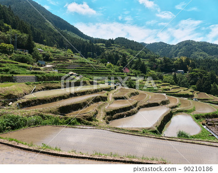 山區水稻梯田水稻種植風光 90210186