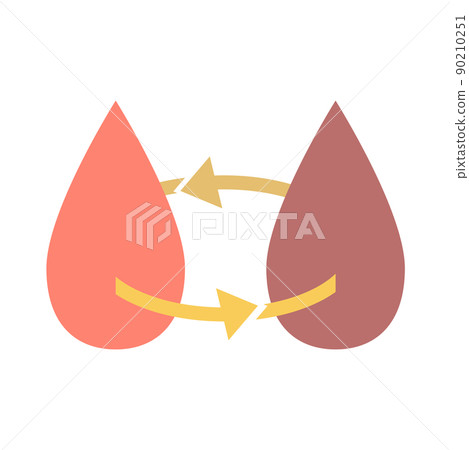 Blood circulation Blood circulation 90210251