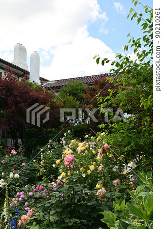 可以看到橫濱·港口的山公園 可以看到橫濱·港口的山公園 90210261