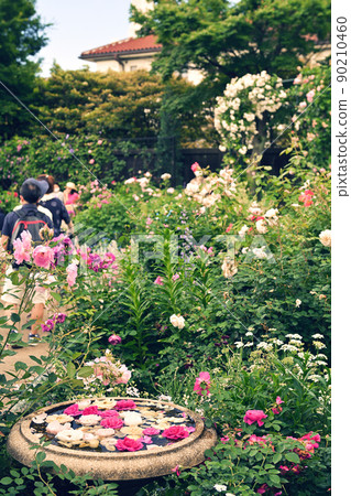 Hill Park where Yokohama · Harbor can be seen 90210460