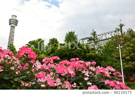 橫濱·山下公園 90210575