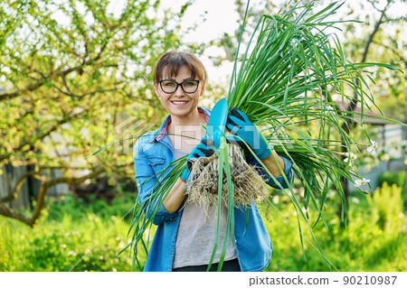 Woman in gardening gloves with white daffodil bush plant and shovel, female looking at camera Woman in gardening gloves with white daffodil bush plant and shovel, female looking at camera 90210987
