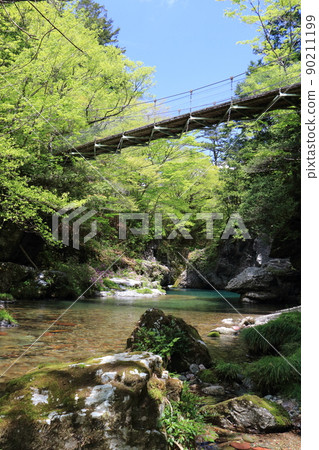 Fresh green Oda Miyama valley Fresh green Oda Miyama valley 90211199