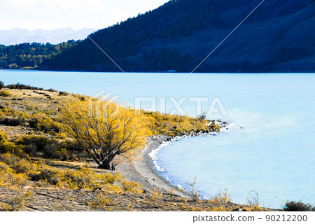 Lake Tekapo in Autumn (New Zealand) 90212200