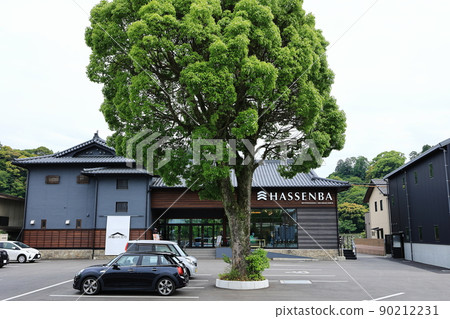 HASSENBA(出發地人吉球磨川) HASSENBA(出發地人吉球磨川) 90212231