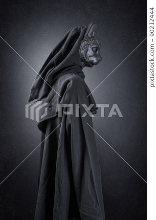 Black cat in hooded cloak at night over dark misty background Black cat in hooded cloak at night over dark misty background 90212444