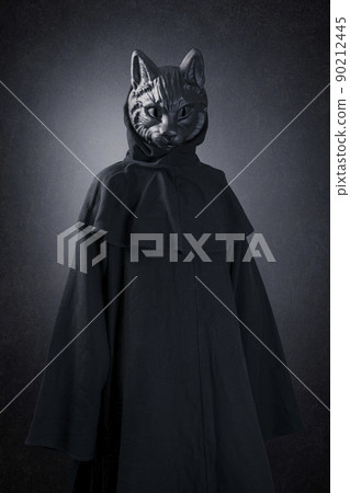 Black cat in hooded cloak at night over dark misty background Black cat in hooded cloak at night over dark misty background 90212445