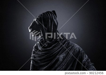 Reptile in hooded cloak at night over dark misty background 90212456