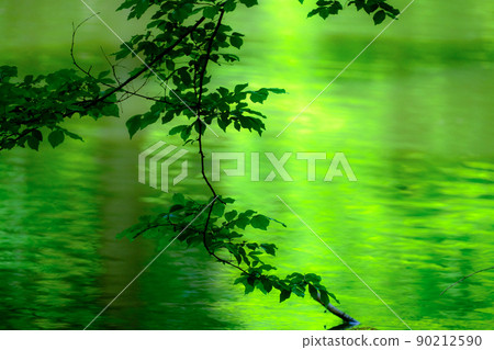 River surface dyed in fresh green River surface dyed in fresh green 90212590