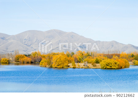 新西蘭中部南島的魯塔尼瓦湖秋葉（新西蘭） 90212662