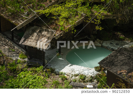 Shirahone Onsen Open-air Bath Shirahone Onsen Open-air Bath 90212850