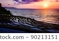 Dusk of white rice Senjuda 90213151