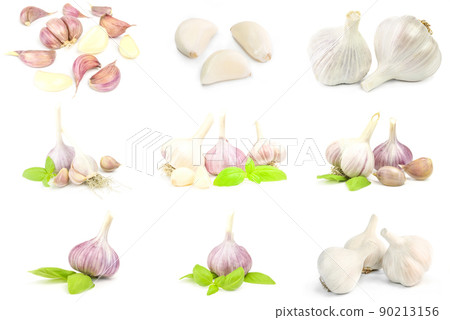Collection of Garlic isolated on a white background with clipping path Collection of Garlic isolated on a white background with clipping path 90213156