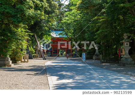 The approach and tower gate of Kashima Jingu Shrine in early summer, Kashima City, Ibaraki Prefecture 90213599