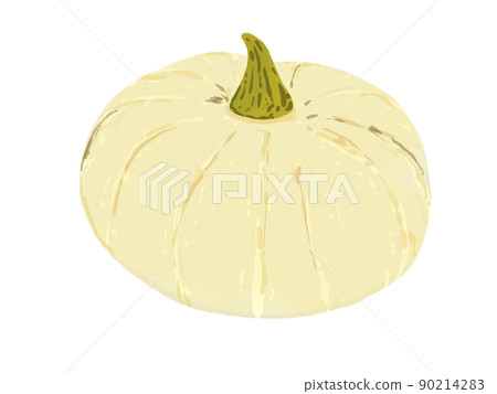 Vegetable autumn white pumpkin real PNG Vegetable autumn white pumpkin real PNG 90214283