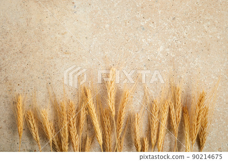 Happy Shavuot. Shavuot Jewish holiday and wheat. 90214675