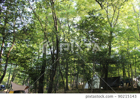 Camp Forest Bath Forest Terrace 90215143