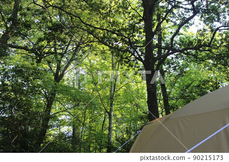 Camp Forest Bath Forest Terrace Camp Forest Bath Forest Terrace 90215173