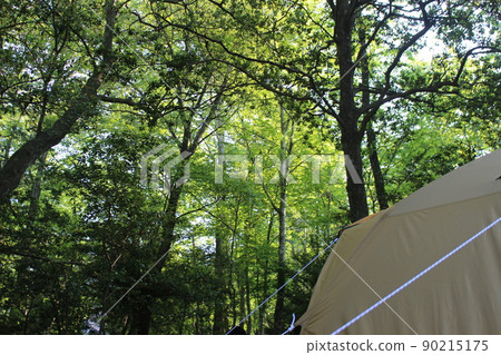 Camp Forest Bath Forest Terrace Camp Forest Bath Forest Terrace 90215175