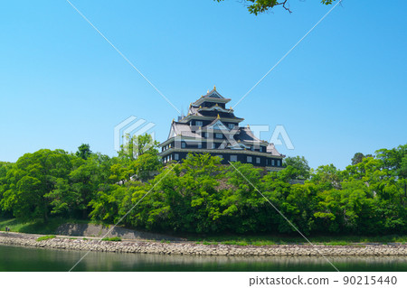 [100 Fine Castles of Japan] Okayama Castle castle tower and fresh green 5 Kita-ku, Okayama City, Okayama Prefecture, which has been renovated and is being removed from the first-class river Asahikawa 90215440