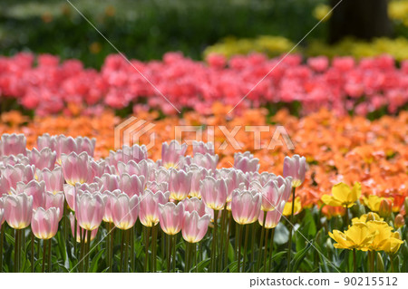 Spring flower garden 90215512