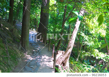 【日本三大名園】風景名勝後樂園的新鮮綠色長廊岡山縣岡山市北區1 【日本三大名園】風景名勝後樂園的新鮮綠色長廊岡山縣岡山市北區1 90216053