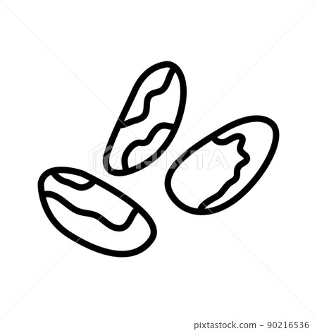 Brazil nuts outline icon isolated on white. Bertholletia. Brazil nuts outline icon isolated on white. Bertholletia. 90216536