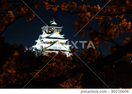 Cherry blossoms at Osaka Castle Cherry blossoms at Osaka Castle 90216606