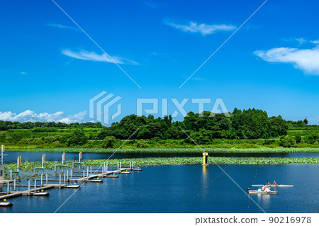 Hasu no Hana and a first-class athlete practicing at the Miyagi Naganuma Rowing Ground 90216978