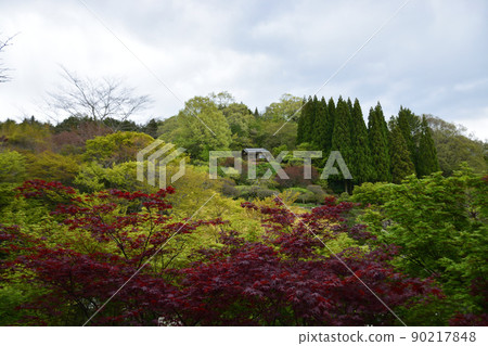 Sankeien 90217848
