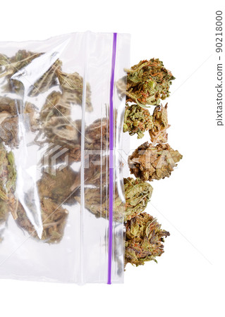 Big plastic bag of weed or marijuana. 90218000
