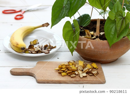 Eco friendly and cheap way how to manure plants and flowers Eco friendly and cheap way how to manure plants and flowers 90218611