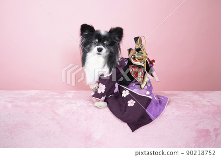 巴比龍薄荷穿著粉紅色背景的絲綢和服微笑 90218752