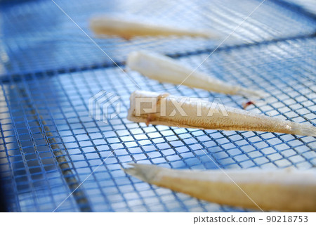 自製魚乾(親) 自製魚乾(親) 90218753