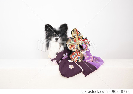白色背景中穿著純絲和服微笑的巴比龍薄荷 90218754