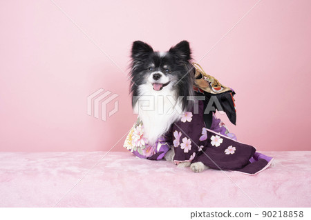 巴比龍薄荷穿著粉紅色背景的絲綢和服微笑 90218858