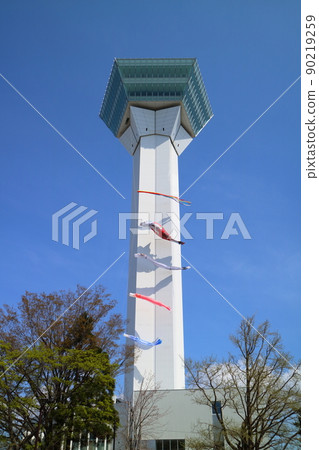 函館五棱郭塔和鯉魚旗 函館五棱郭塔和鯉魚旗 90219259