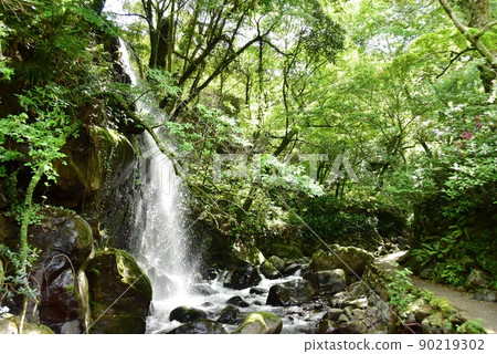 Yugawara Town Manyo Park Yugawara Sou Yugawara Waterfall Spot and Fresh Green 90219302