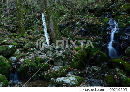 Kochi Shimanto River headwaters Kochi Shimanto River headwaters 90219505