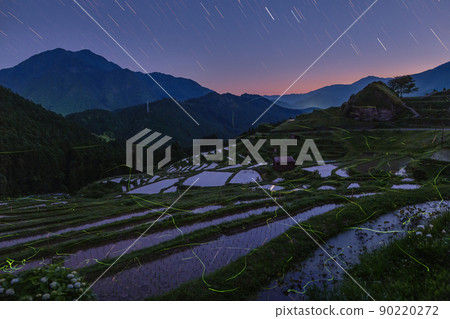 螢火蟲在圓山千葉翩翩起舞 90220272